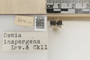 Media type: image;   Entomology 795032 Aspect: Labels